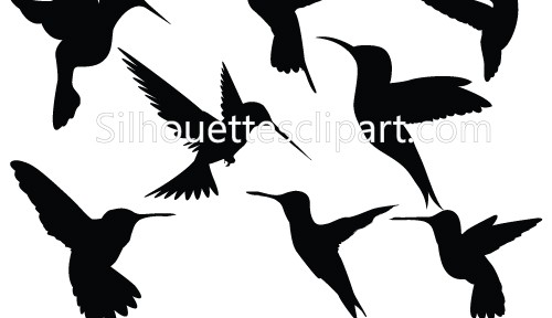 Blue Hummingbird Silhouette Royalty Free Picture Clipart - Free ...