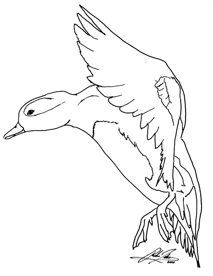 Outline Of A Duck - AZ Coloring Pages