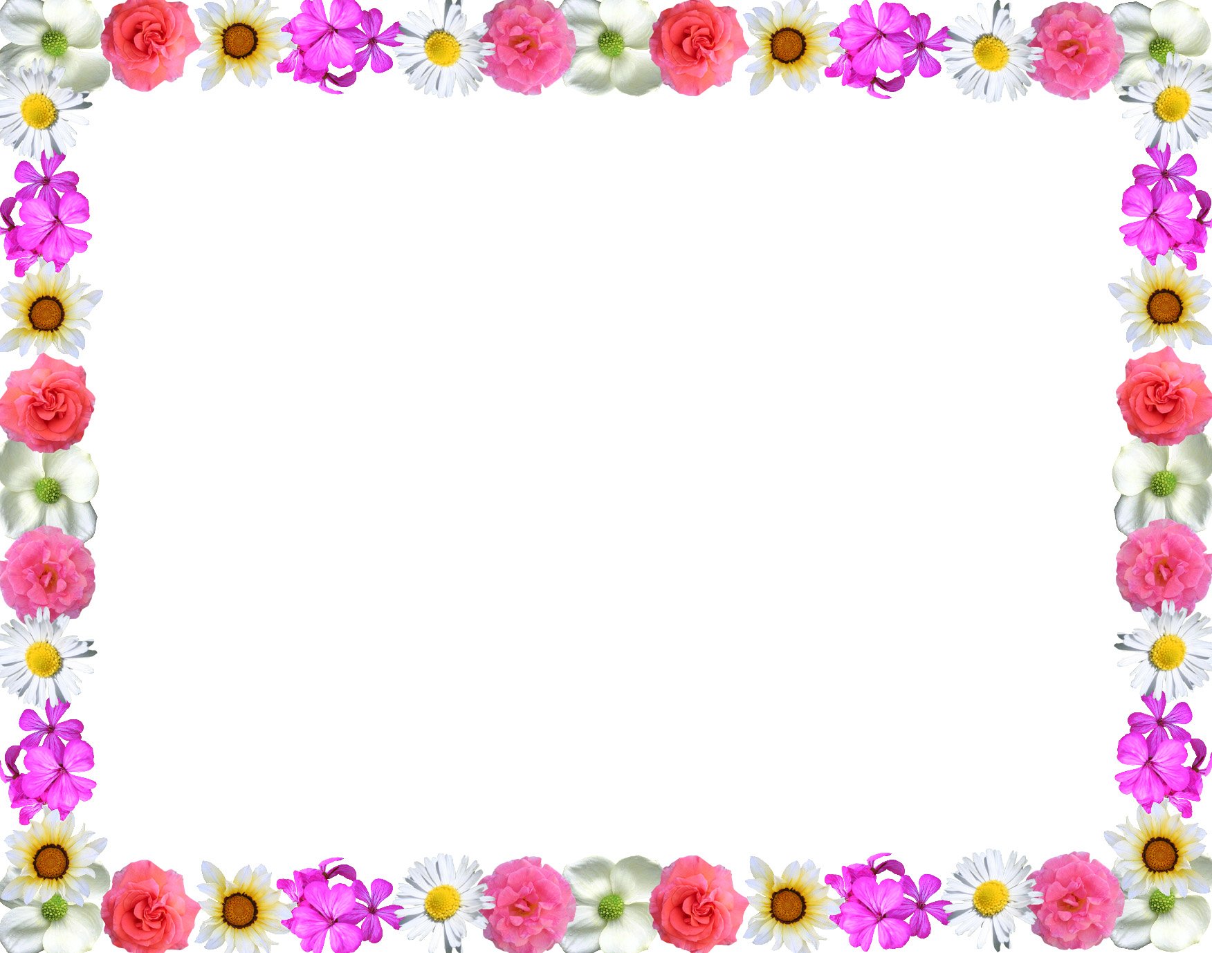 Line Flower Border Design - ClipArt Best