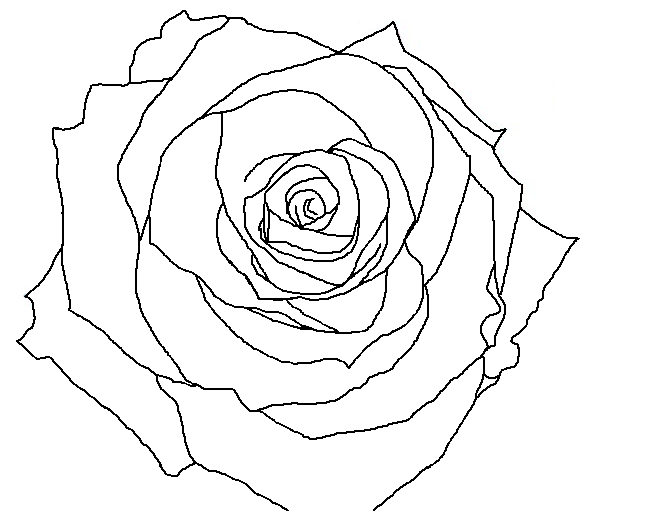 Image gallery for : rose line drawing