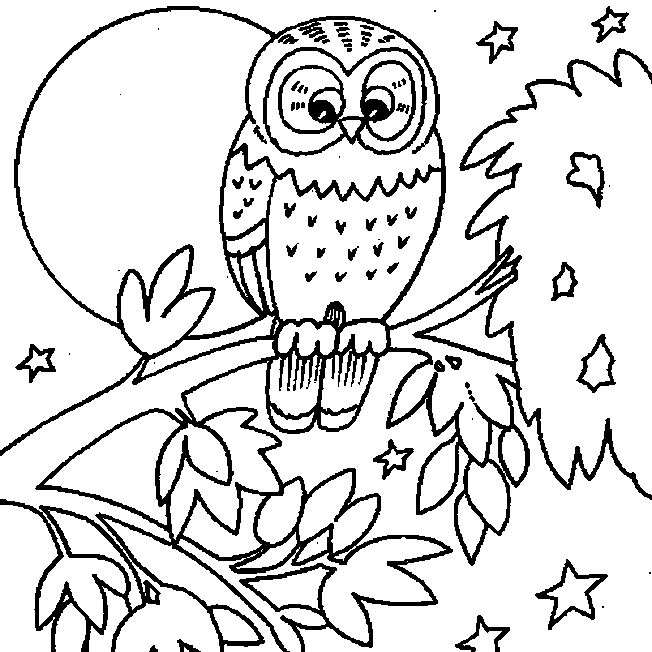 Owl Coloring Page, Like to Color Pictures? then remember ...