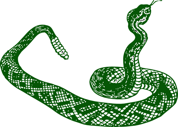 Dark Green Snake clip art - vector clip art online, royalty free ...