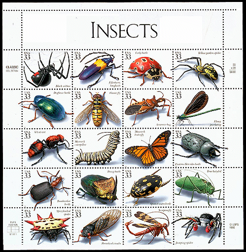 K-12 TLC Guide to Insects