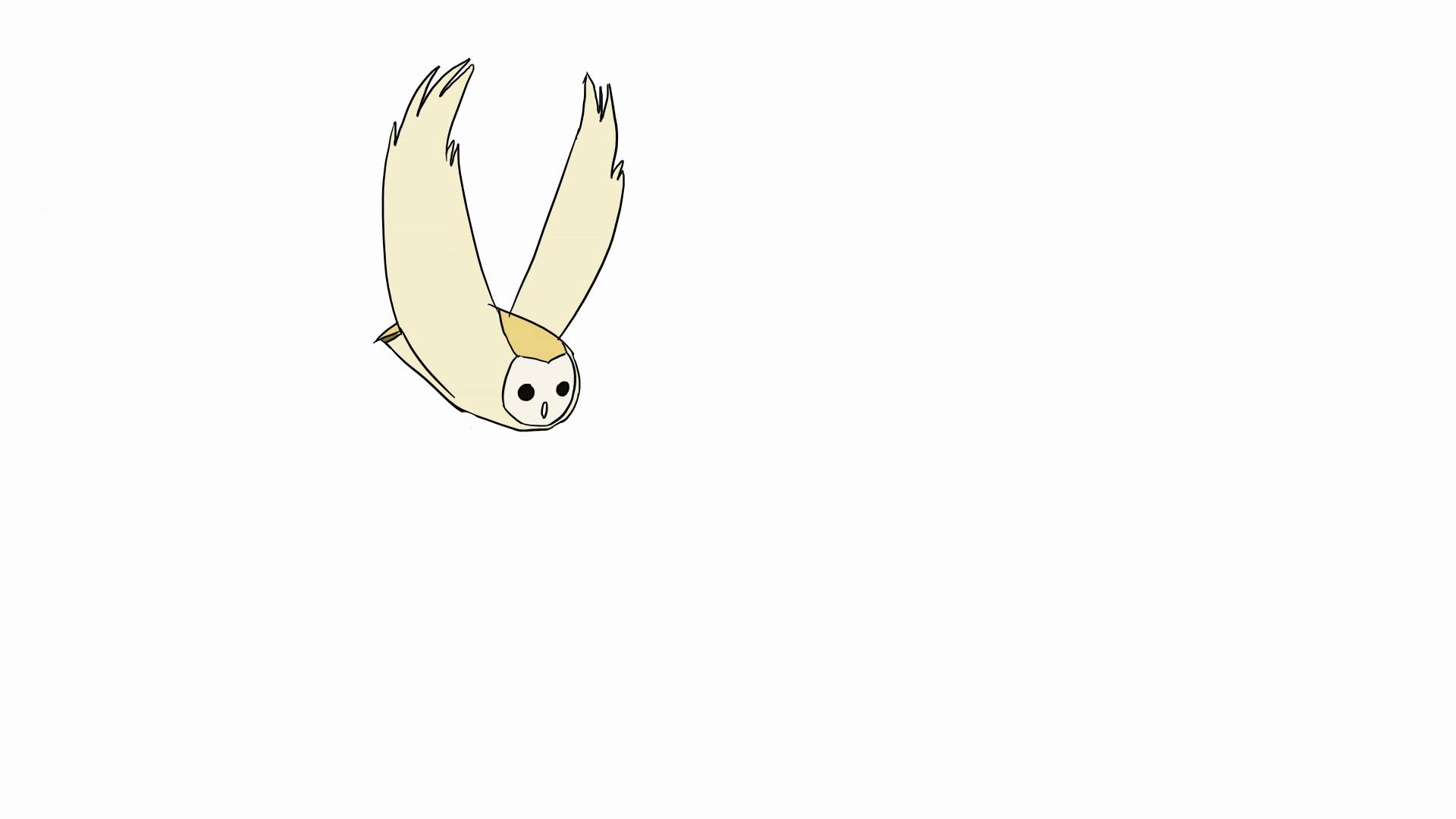 Owl Flying 2d Animation - YouTube