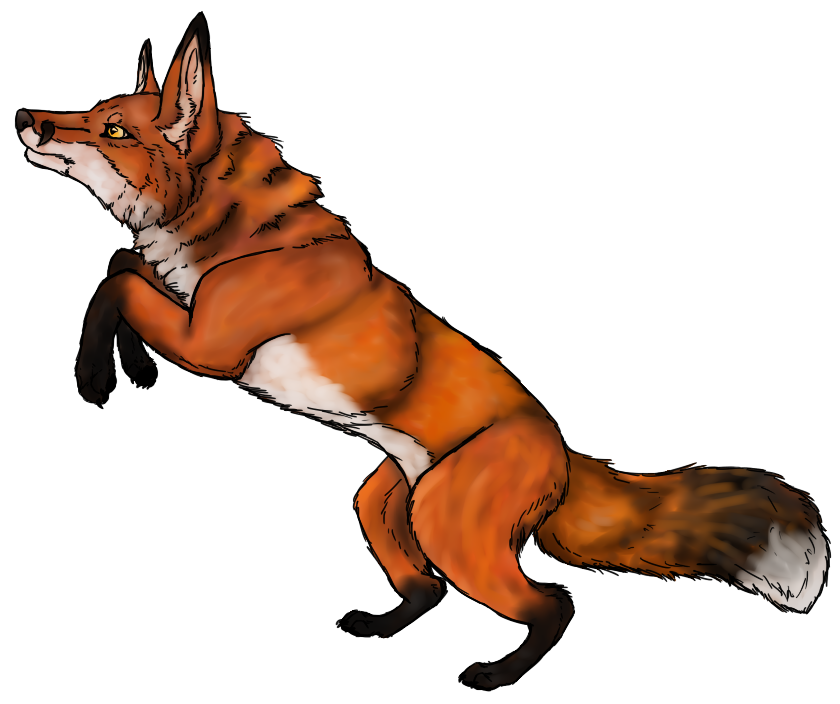Red Fox by iSnowOnAsh on deviantART