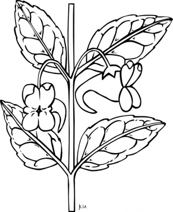 Stem With Flower Outline clip art - Download free Nature vectors
