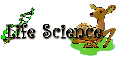 Life Science - LiveBinder