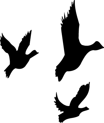 Flying Duck Silhouette | Clipart Panda - Free Clipart Images
