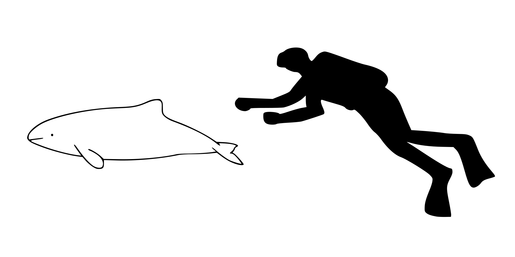 Commerson's dolphin - Wikipedia, the free encyclopedia