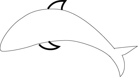 How to Draw a Dolphin? - Dolphin Facts and Information