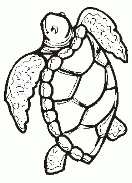 Free Printable ANimal " Turtle " Coloring Pages | Cartoon Coloring ...