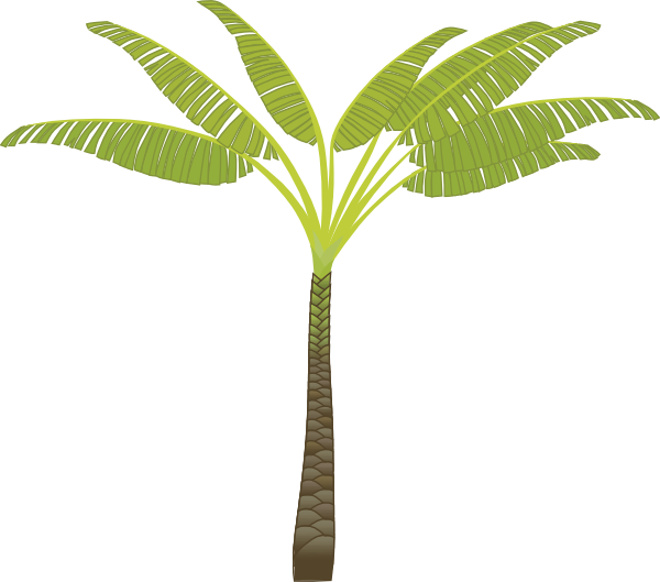 Rainforest Trees Clipart | Clipart Panda - Free Clipart Images