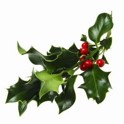 Mistletoe Clip Art - ClipArt Best