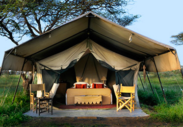 Serengeti Safari | Tanzania | Ubuntu Camp | Asilia Africa