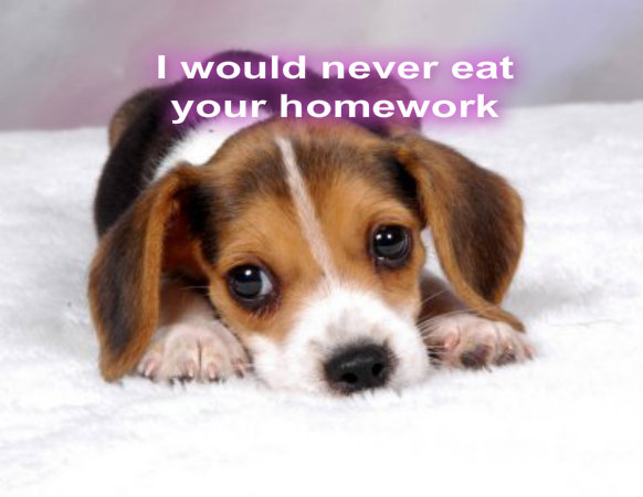 puppy - Puppies Fan Art (33572833) - Fanpop