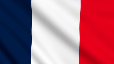 France Flag Waving Stock Footage Video 881938 - Shutterstock