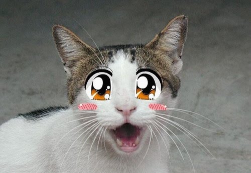 SUGARPET=: Anime Cat Eyeliner Tutorial =^_____^=