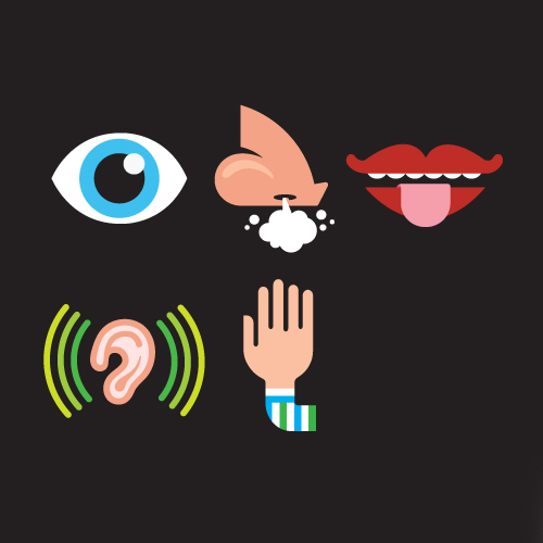 The 5 Senses - Andrew Kopietz / Book Cover Design / Art Direction