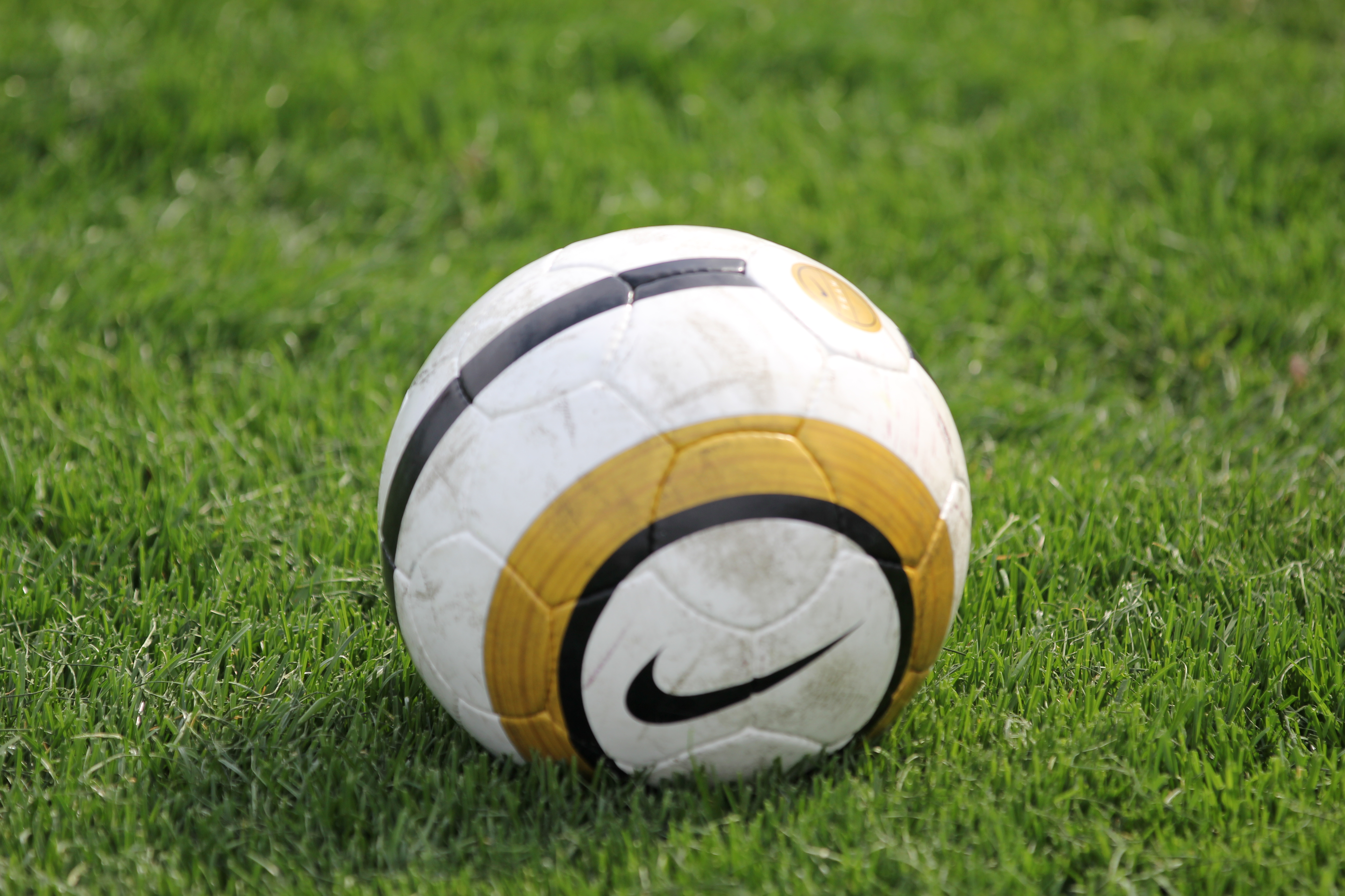 Artistic Soccer Ball | Common Sense - Cliparts.co