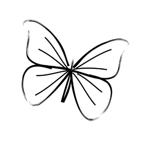 Simple Butterfly Line Drawing | Beauty, hair and nails ALL AT HOME ...