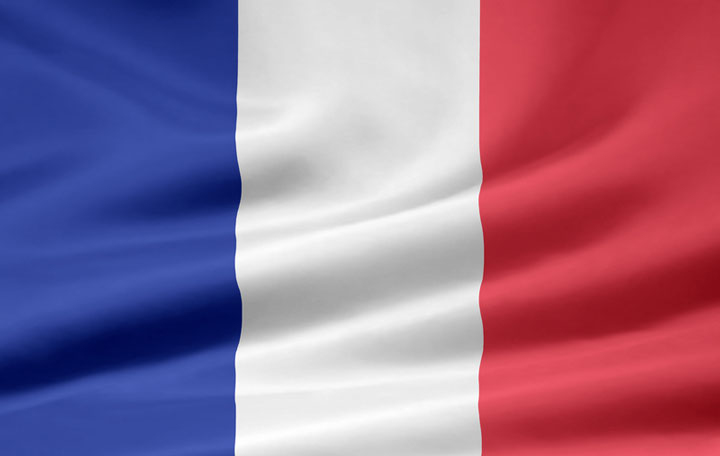 About French-Flag.org