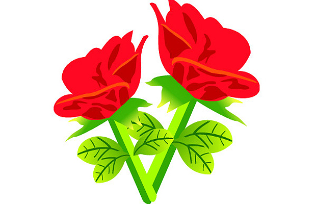 Red Rose Vector Art | Free Vectors & Graphics