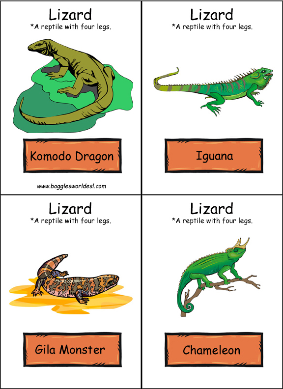 Reptile Flashcards