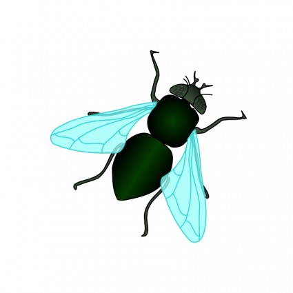 Fly Clipart - Cliparts.co