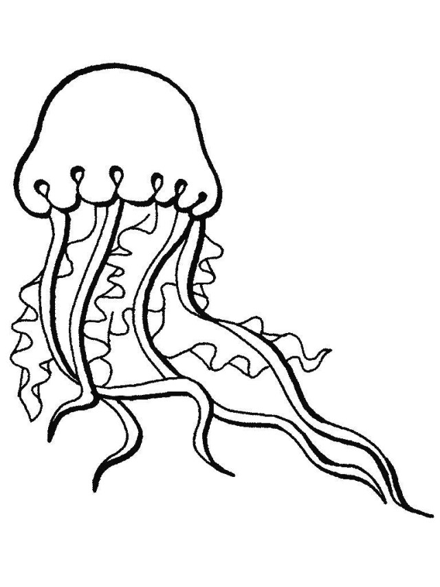 Educational Ocean Animals Colouring Pages For Kids Inspiring ...