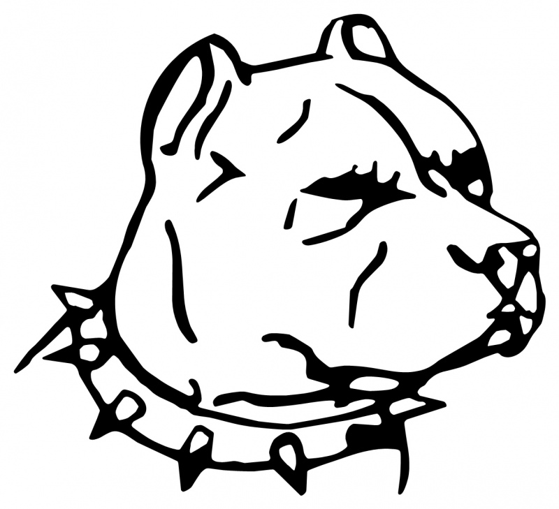 STAFFORDSHIRE BULL TERRIER Dog