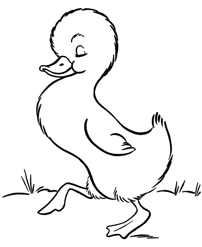 Easter Chick Coloring Pages - Cute baby duck easter coloring pages ...