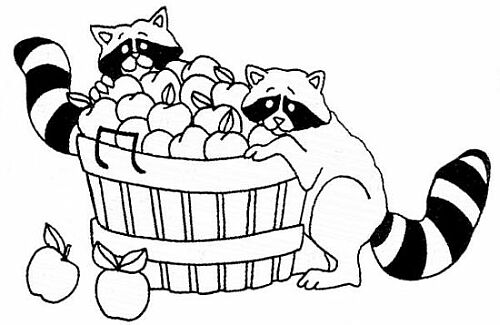 Racoon Clip Art - ClipArt Best