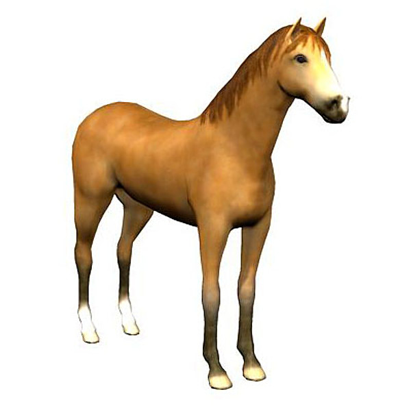 3d horse rigged animation walk - ClipArt Best - ClipArt Best