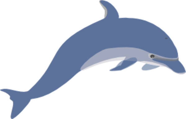 Dolphin Enrique Meza C Med | Free Images at Clker.com - vector ...