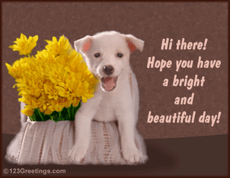 Have A Beautiful Day! Free Have a Great Day eCards, Greeting Cards ...