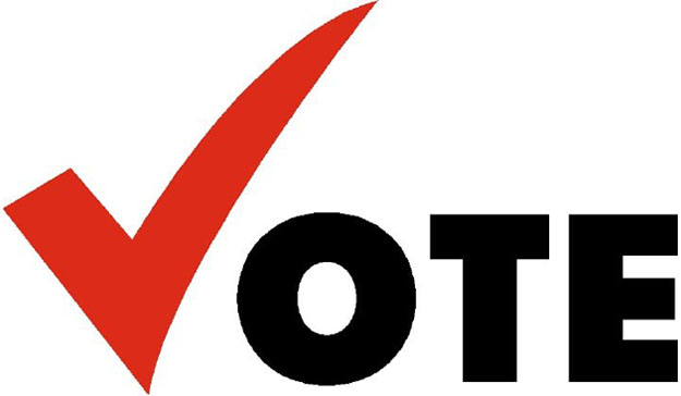 Voting Information