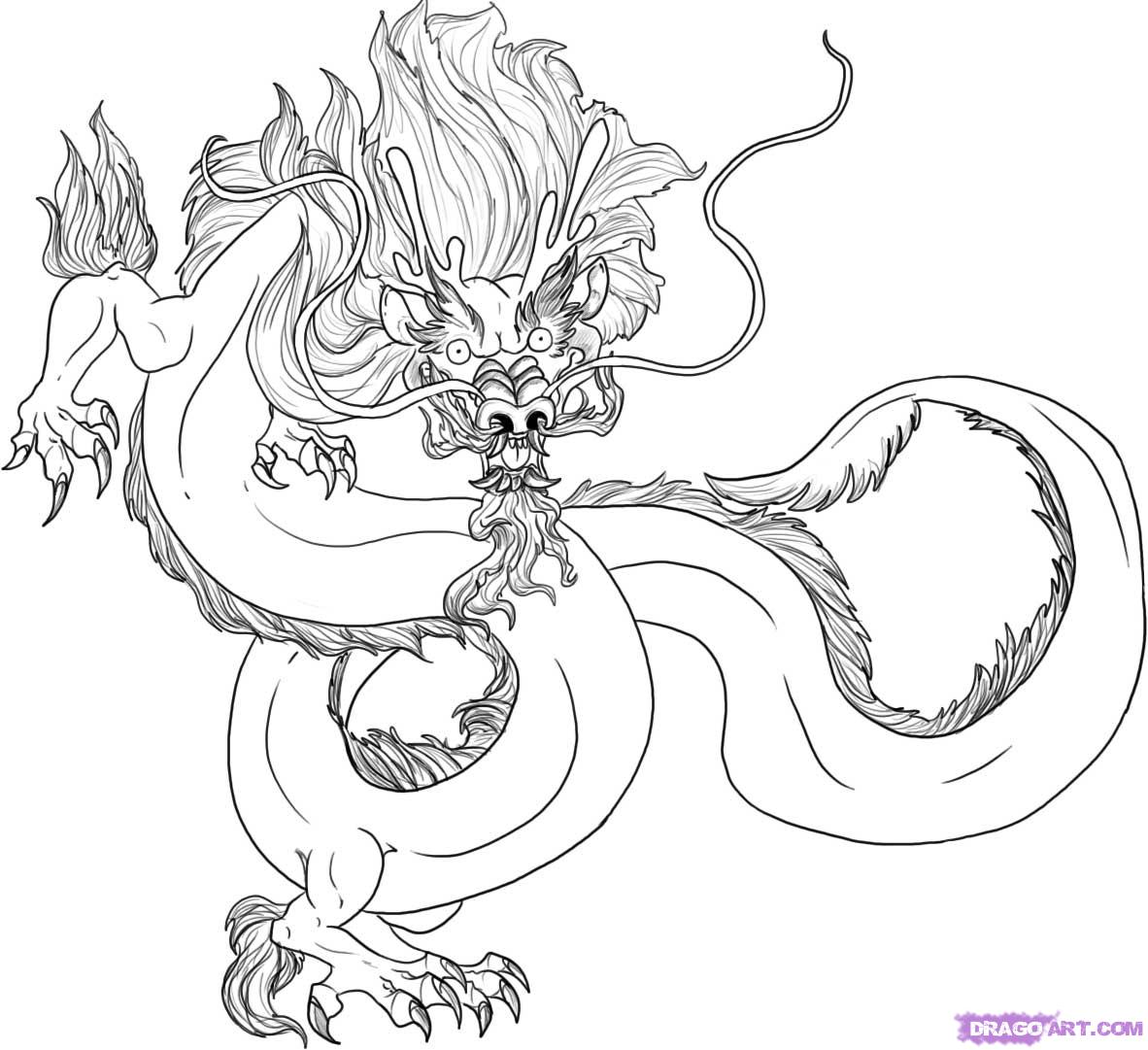 How to Draw a Traditional Chinese Dragon, Step by Step, Dragons ...