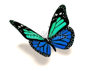 3D turquoise and blue butterfly" Stock photo and royalty-free ...