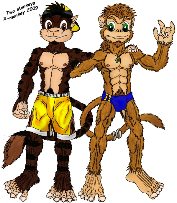 25 Cartoon Monkey Pictures You Will Enjoy - SloDive