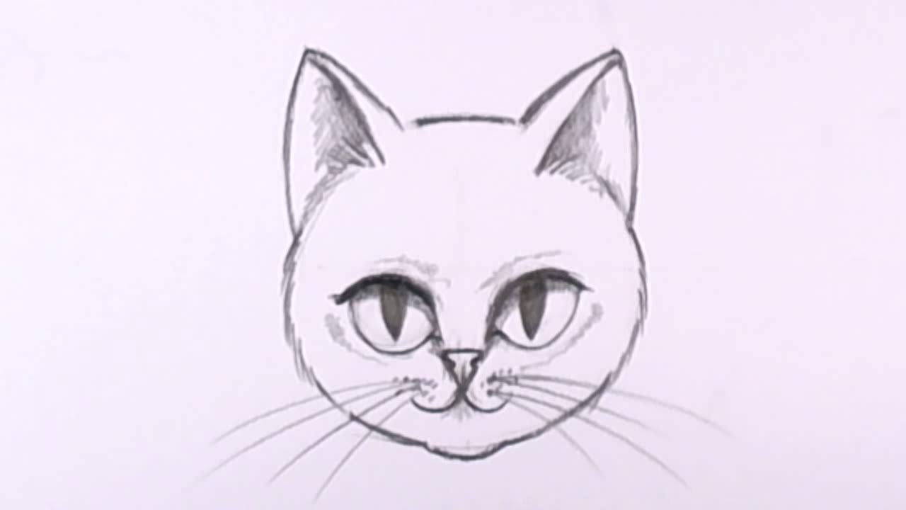 How to Draw a Cat Face in Pencil - Drawing Lesson - MAT - YouTube