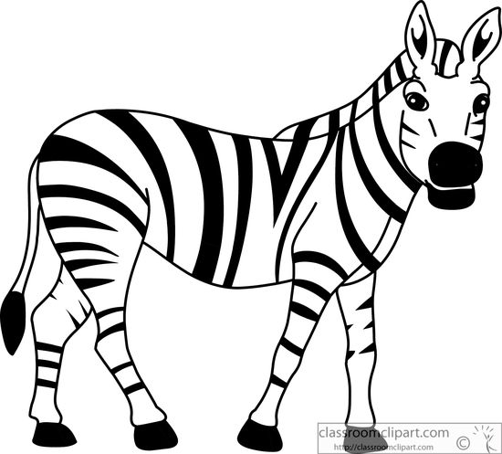 Animals : african-zebra-black-white-outline-914 : Classroom Clipart