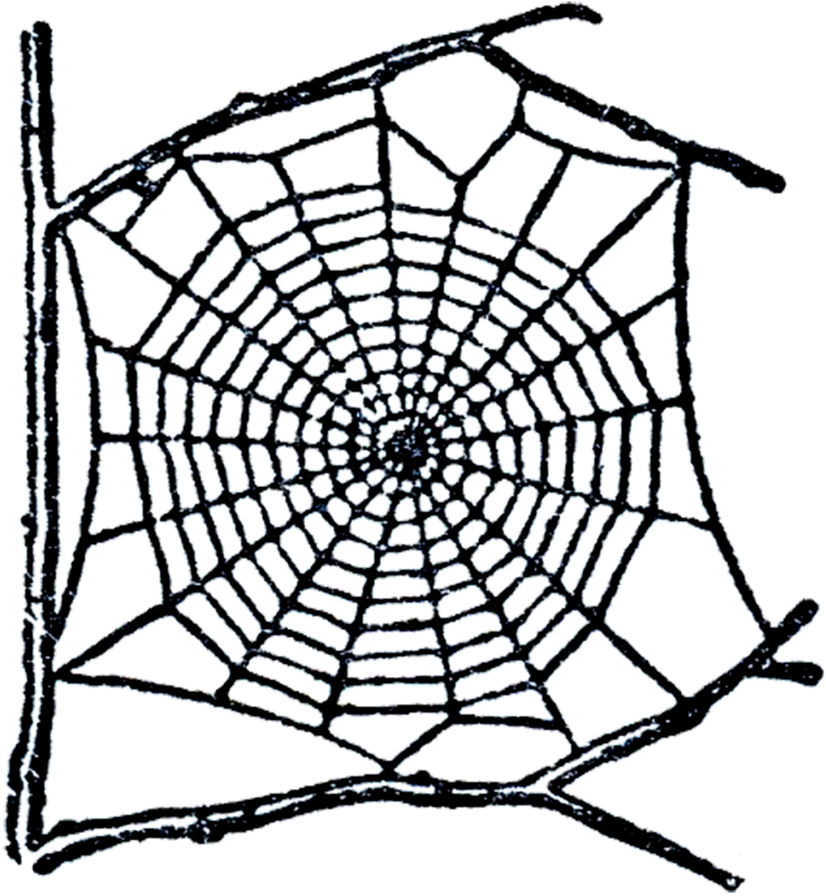 Corner Spider Web Clipart | Clipart Panda - Free Clipart Images