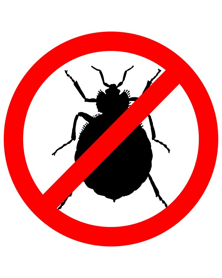 Hotels and bed bugs : prevention Vs eradication