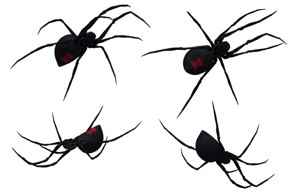 Black Widow Drawings
