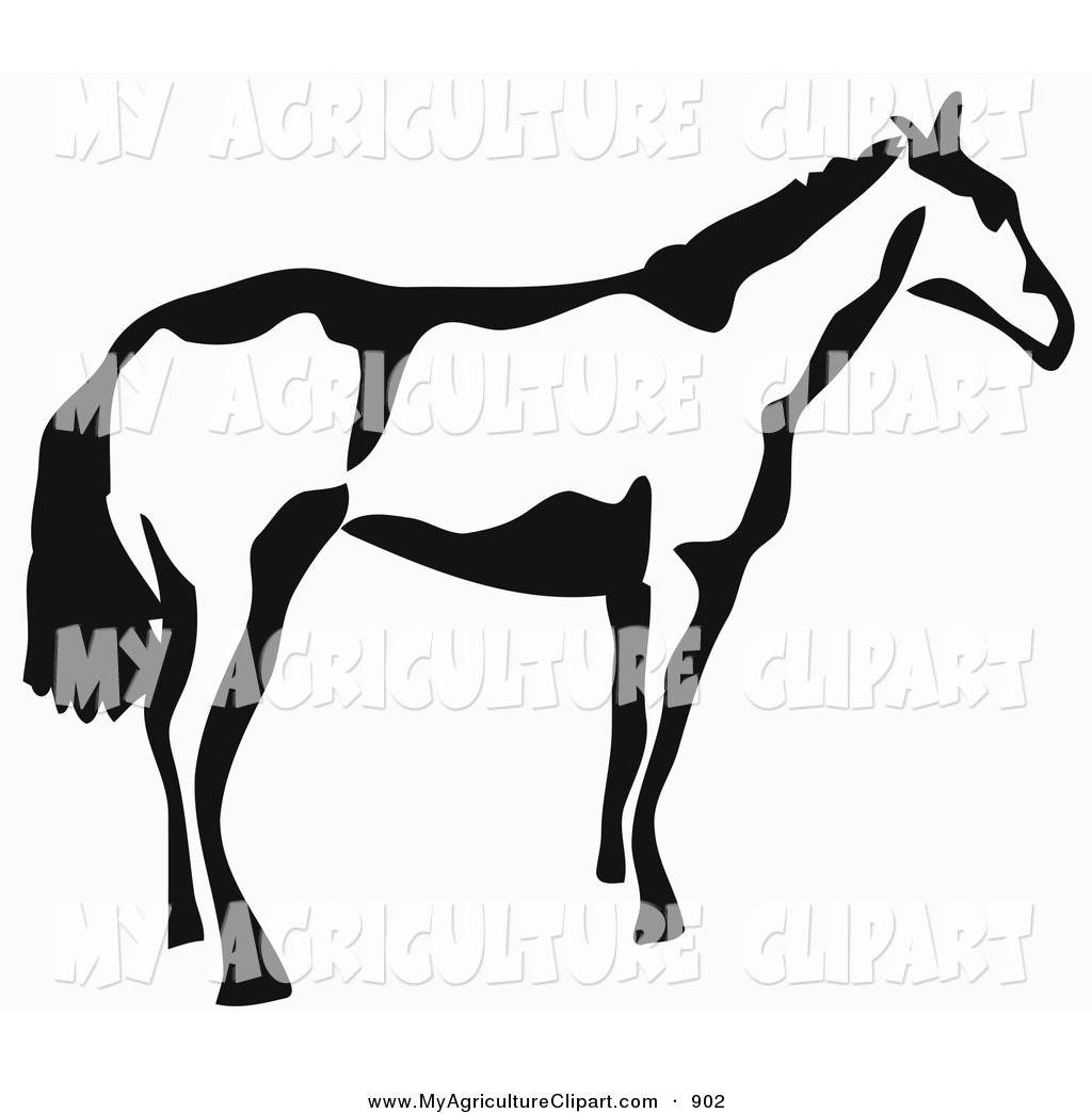 Royalty Free Horse Stock Agriculture Designs
