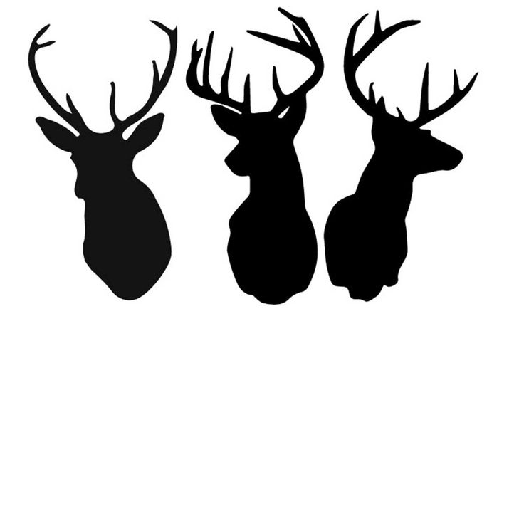 Deer silhouette | SHADOWS and SILHOUETTES | Pinterest