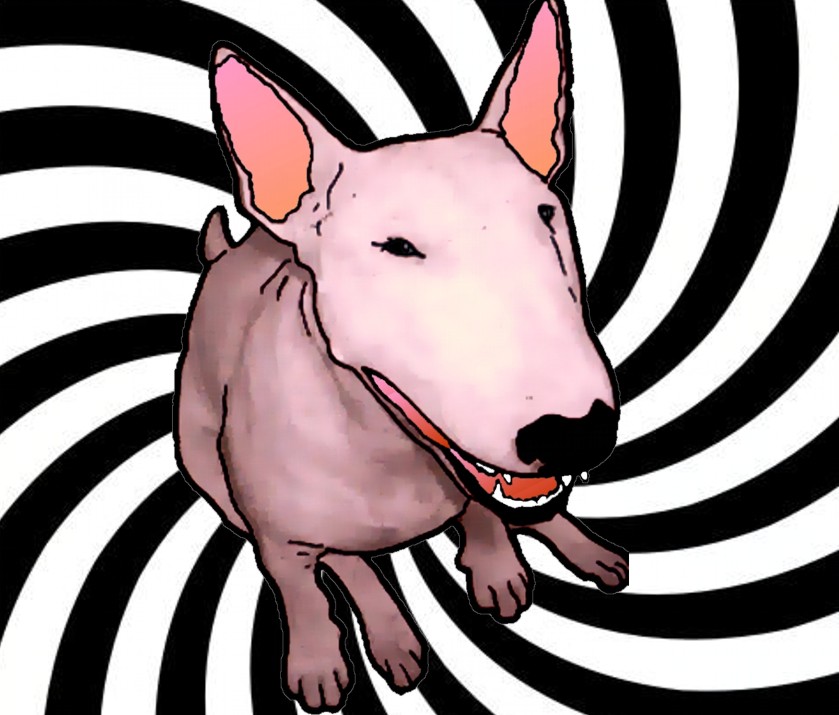 deviantART: More Like Smeagol the Bull Terrier 001 by donniebrasco