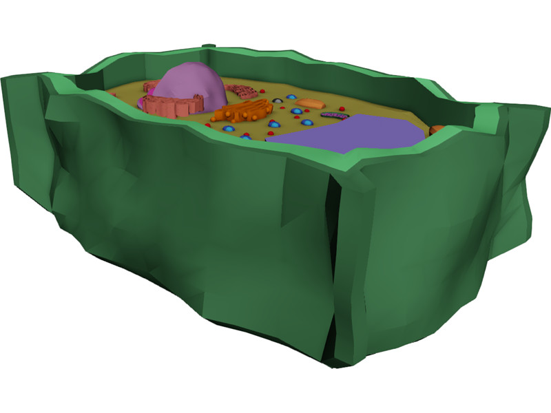 Plant Cell 3D Model Download | 3D CAD Browser