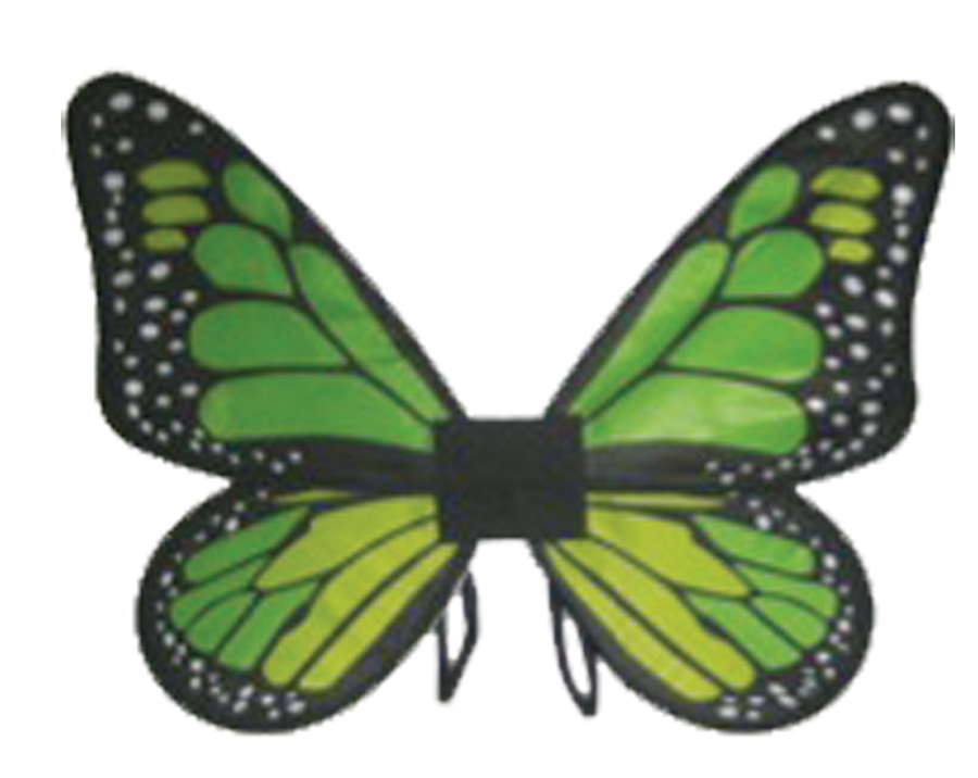 Girl Green Satin Butterfly Wings $10.89 - Girls Costumes | Kids ...