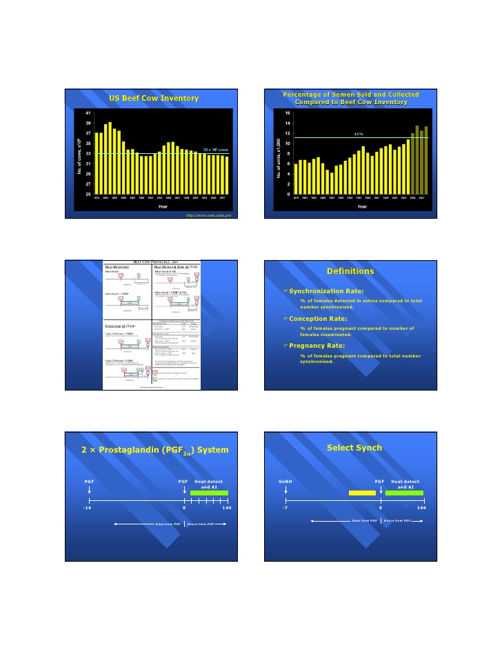 Cliff Lamb - Estrus Synchronization Protocols for Cows